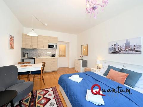 Pronájem bytu 1+kk, Praha - Vinohrady, Záhřebská, 30 m2