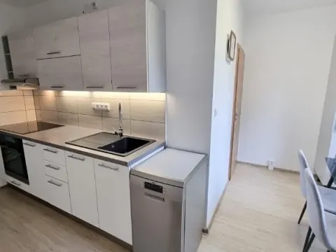 Pronájem bytu 2+1, Jihlava, Tylova, 56 m2
