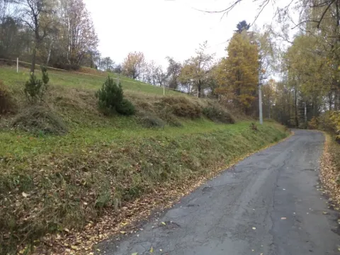 Dražba louky, Zlatá Olešnice, 792 m2