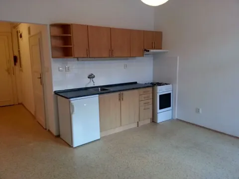 Pronájem bytu 1+kk, Praha - Žižkov, Čajkovského, 30 m2