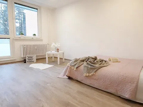 Pronájem bytu 1+1, Brno, Fričova, 46 m2