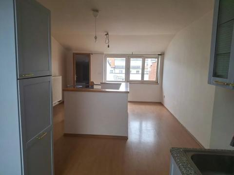 Pronájem bytu 3+kk, Praha - Vinohrady, Mánesova, 100 m2