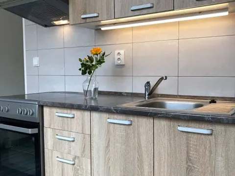 Pronájem bytu 2+1, Chomutov, Cihlářská, 52 m2