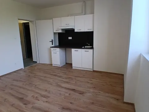Pronájem bytu 1+kk, Praha - Břevnov, Na břevnovské pláni, 30 m2