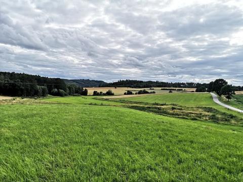 Prodej komerčního pozemku, Radomyšl, 10000 m2