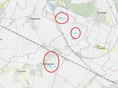 Prodej podílu louky, Cerhenice, 10056 m2