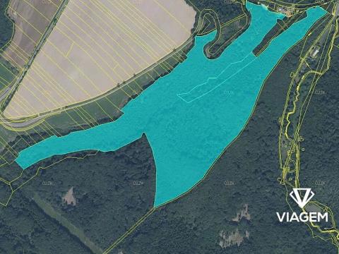 Prodej podílu lesa, Hrabyně, 20047 m2