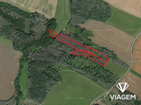 Prodej lesa, Kouty, 3518 m2