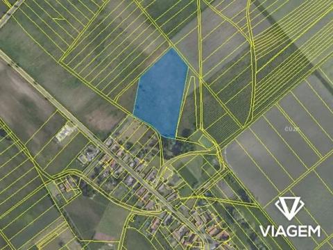 Prodej podílu pole, Horka I, 8080 m2