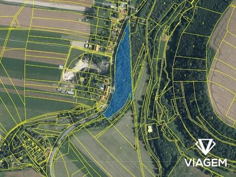 Prodej podílu lesa, Skuteč, 6517 m2