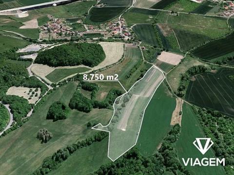 Prodej podílu pole, Velemín, 8749 m2