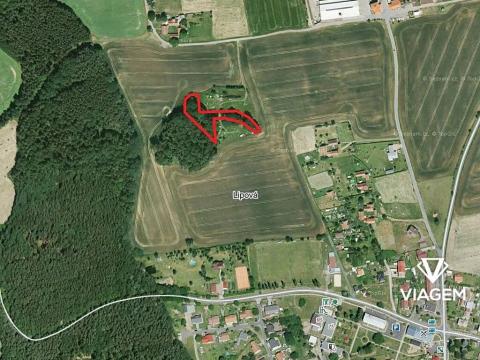 Prodej podílu lesa, Lipová, 2049 m2