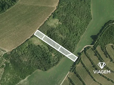 Prodej podílu pole, Nosislav, 890 m2