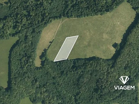 Prodej podílu pole, Životice u Nového Jičína, 972 m2