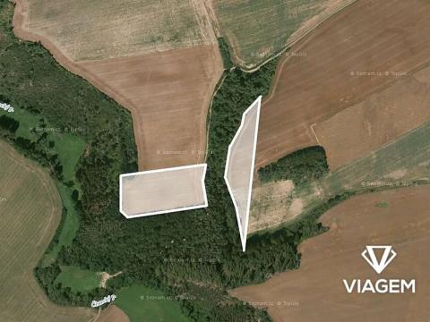 Prodej podílu pole, Šípy, 1011 m2