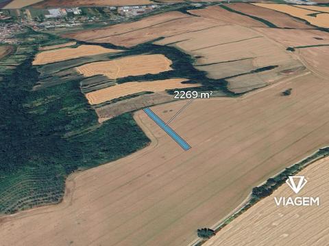Prodej pole, Kněžpole, 2269 m2