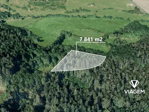 Prodej podílu lesa, Bukovník, 1306 m2