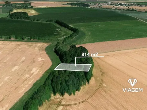 Prodej lesa, Liboš, 814 m2