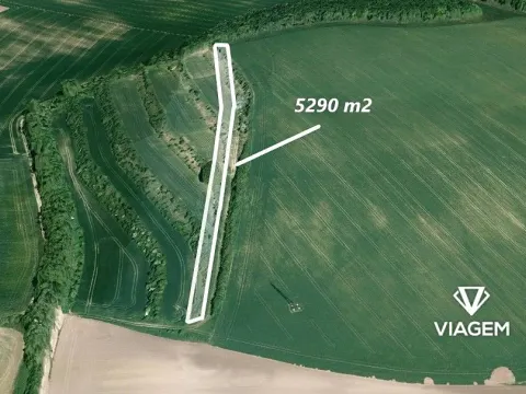 Prodej podílu pole, Klobouky u Brna, 1763 m2