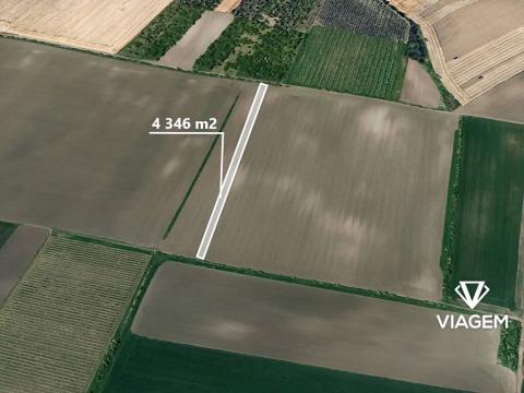 Prodej podílu lesa, Hustopeče, 2173 m2