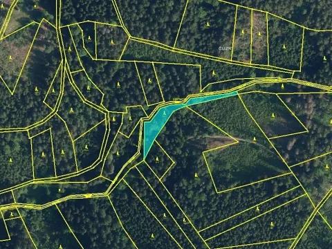 Prodej podílu lesa, Vysoké nad Jizerou, 742 m2