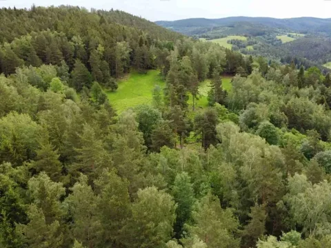 Dražba louky, Rejštejn, 1798 m2