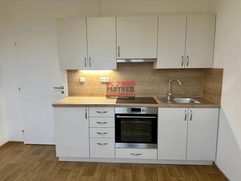 Pronájem bytu 1+1, Planá nad Lužnicí, Průmyslová, 39 m2