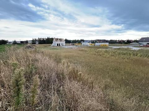 Dražba pozemku, Živanice, 2620 m2