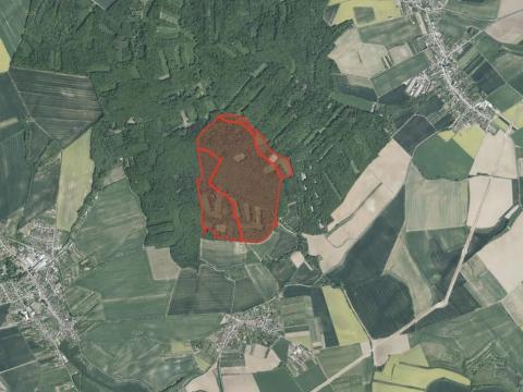 Prodej podílu lesa, Zdounky, 3240 m2