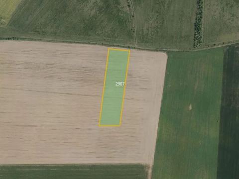 Prodej pole, Ronov nad Doubravou, 10959 m2