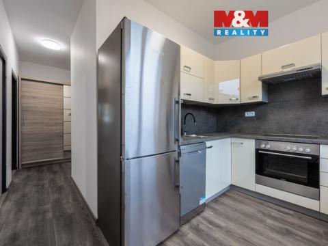 Pronájem bytu 2+1, Nová Role, Svobodova, 50 m2