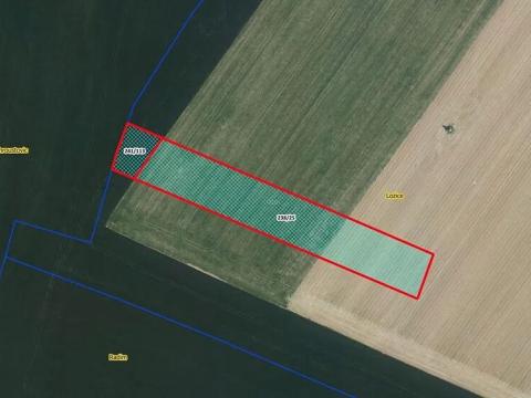 Prodej pole, Lozice, 10021 m2
