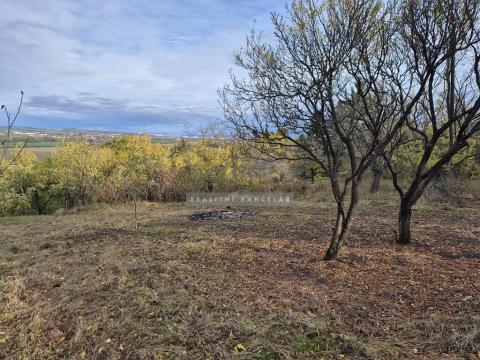 Prodej zahrady, Židlochovice, 1185 m2