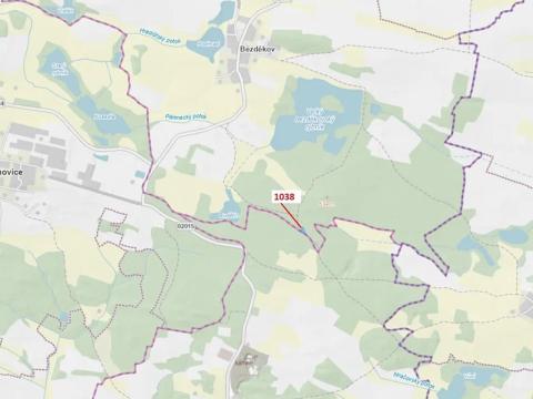 Dražba lesa, Hradiště, 1028 m2