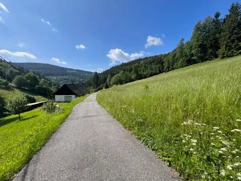 Prodej louky, Jablonec nad Jizerou, 12774 m2