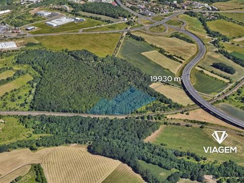 Prodej lesa, Spořice, 19930 m2