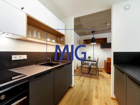 Pronájem bytu 2+kk, Brno, Cejl, 35 m2