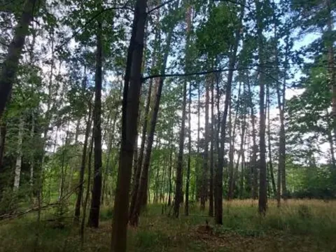 Prodej lesa, Pelhřimov, 1759 m2