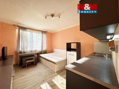 Pronájem bytu 1+kk, Karlovy Vary - Drahovice, Lidická, 22 m2