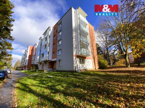 Pronájem bytu 2+1, Žďár nad Sázavou - Žďár nad Sázavou 4, Neumannova, 50 m2