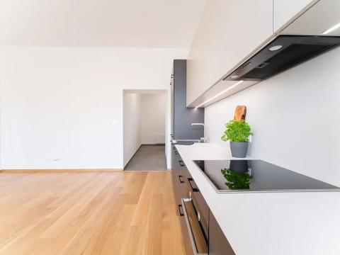 Pronájem bytu 2+kk, Praha - Žižkov, Jeronýmova, 61 m2
