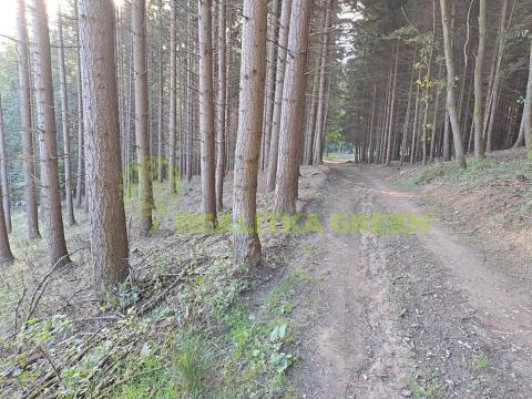 Prodej lesa, Zlín, 152613 m2