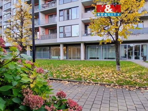 Pronájem kanceláře, Praha, Jankovcova, 58 m2