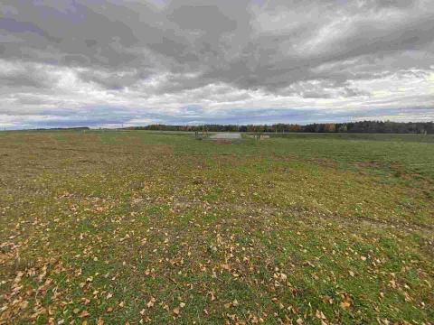 Prodej komerčního pozemku, Strážkovice, 4604 m2