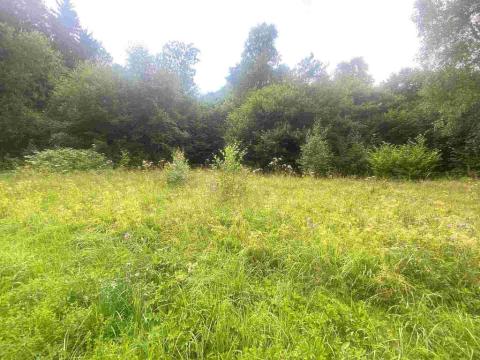 Prodej pozemku, Mladkov, 1004 m2