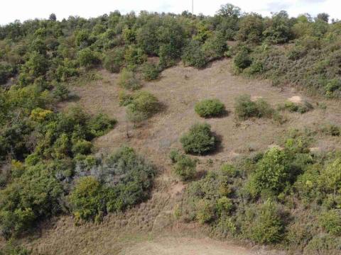 Prodej pole, Řehlovice - Stadice, 22441 m2