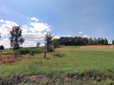 Prodej pozemku, Nová Ves u Mladé Vožice, 5392 m2