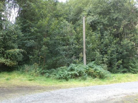 Prodej pozemku, Aš, 1755 m2