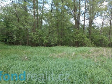 Prodej pozemku, Dětmarovice - Koukolná, 1844 m2