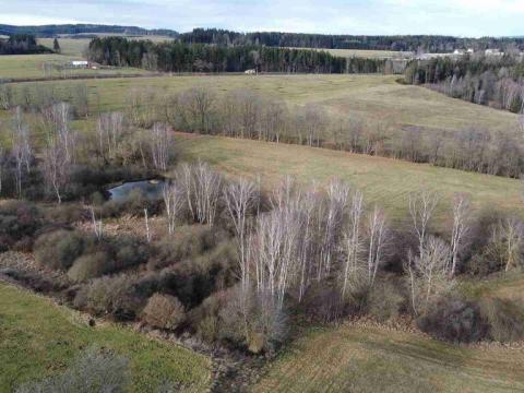 Prodej pozemku, Dolní Dvořiště - Trojany, 18915 m2